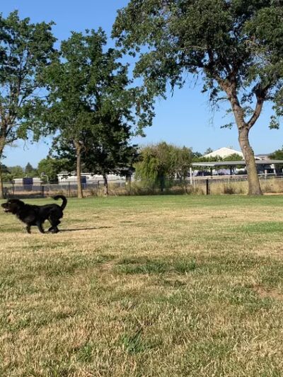 Southwest Community Park - Santa Rosa, CA