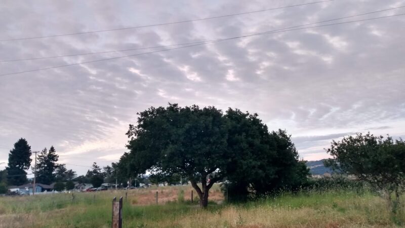 Southwest Community Park - Santa Rosa, CA