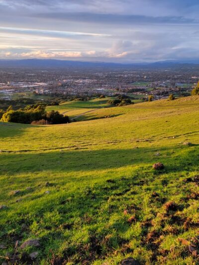 Taylor Mountain Regional Park - Santa Rosa, CA