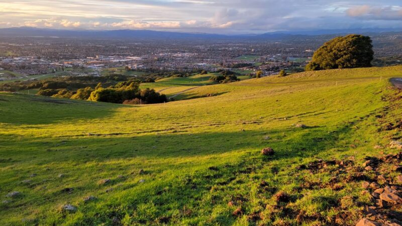 Taylor Mountain Regional Park - Santa Rosa, CA