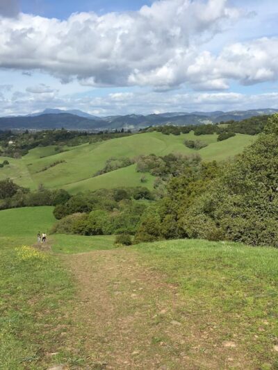Taylor Mountain Regional Park - Santa Rosa, CA