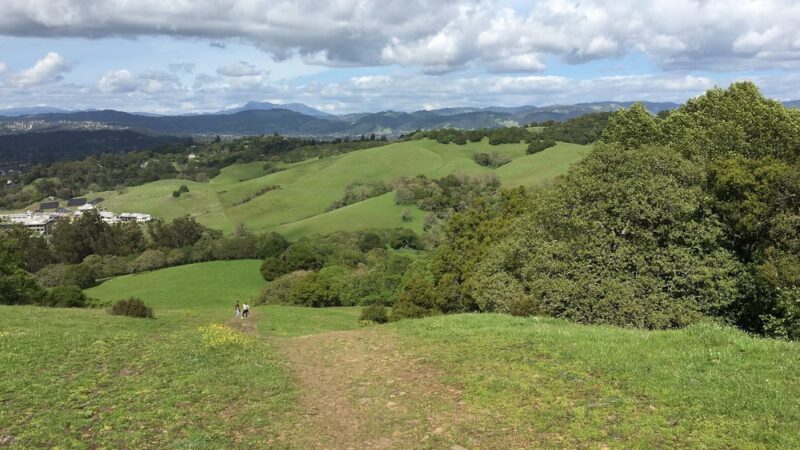 Taylor Mountain Regional Park - Santa Rosa, CA