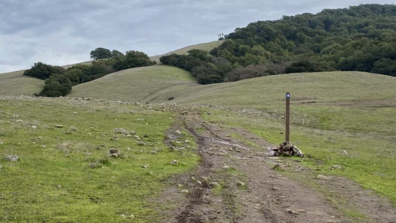 Taylor Mountain Regional Park - Santa Rosa, CA