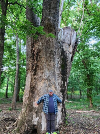 Minnie Ha Ha Park - Sappington, MO