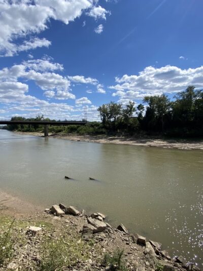 Minnie Ha Ha Park - Sappington, MO