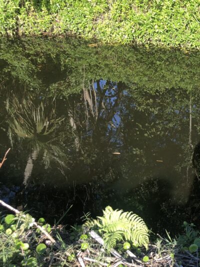 McArthur Park - Sarasota, FL