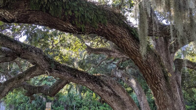 Red Rock Park - Sarasota, FL