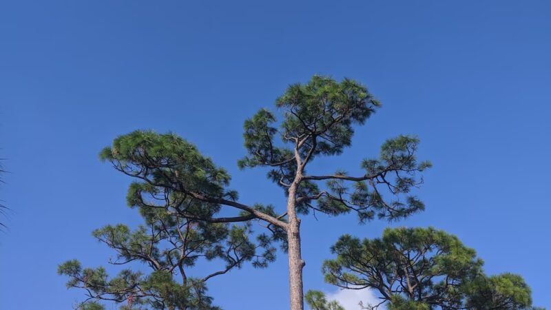 Red Rock Park - Sarasota, FL