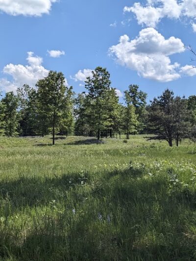 Neilmann Trailhead of Wilton Wildlife Preserve & Park - Saratoga Springs, NY
