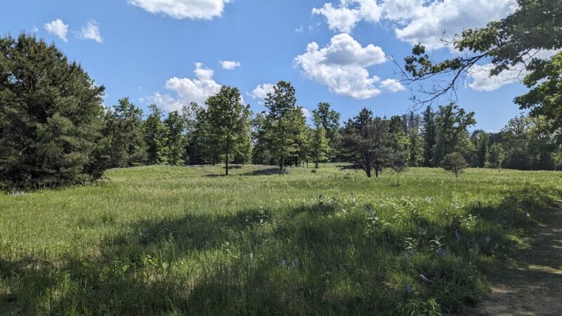 Neilmann Trailhead of Wilton Wildlife Preserve & Park - Saratoga Springs, NY