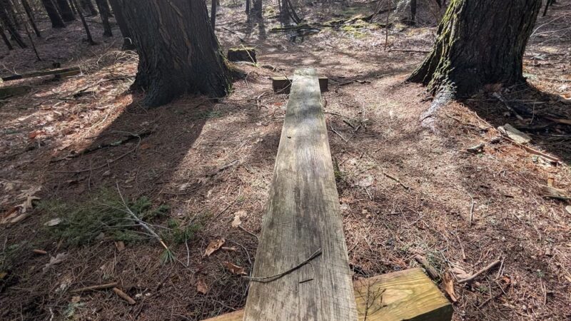 Neilmann Trailhead of Wilton Wildlife Preserve & Park - Saratoga Springs, NY
