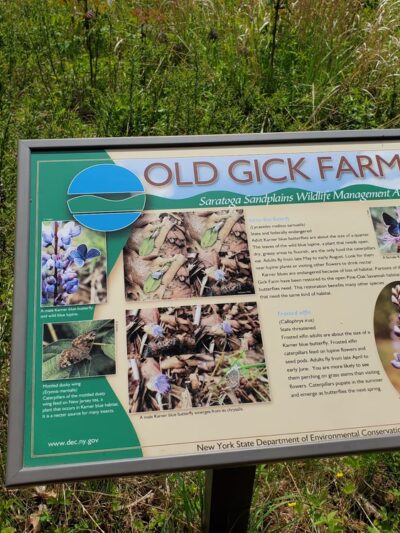 NYS DEC Old Gick Parcel of Wilton Wildlife Preserve & Park - Saratoga Springs, NY