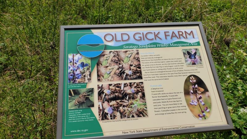 NYS DEC Old Gick Parcel of Wilton Wildlife Preserve & Park - Saratoga Springs, NY