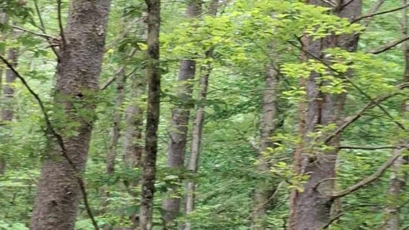 Saratoga County Kalabus Perry Trails - Saratoga Springs, NY