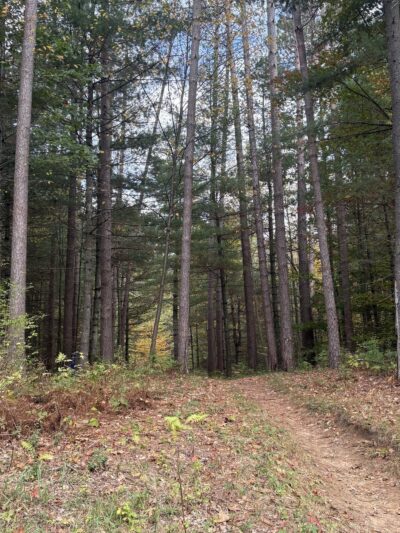 Saratoga County Kalabus Perry Trails - Saratoga Springs, NY