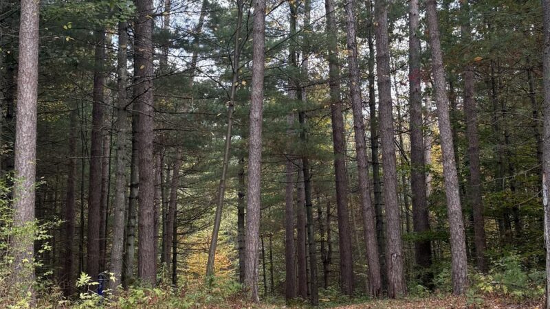 Saratoga County Kalabus Perry Trails - Saratoga Springs, NY