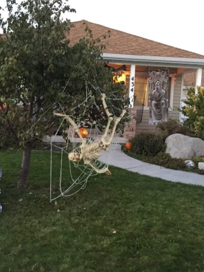 Cider Trail - Saratoga Springs, UT