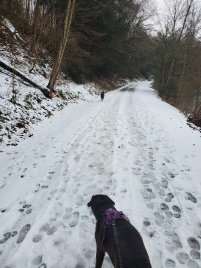 Butler-Freeport Community Trail Bear Creek Parking - Sarver, PA