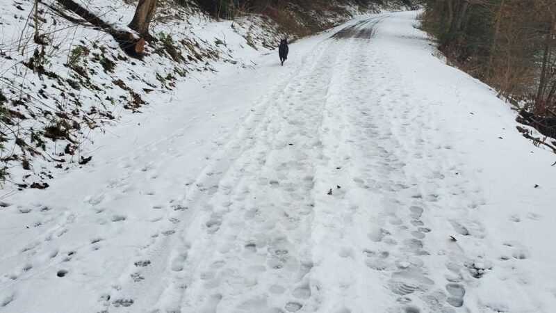 Butler-Freeport Community Trail Bear Creek Parking - Sarver, PA