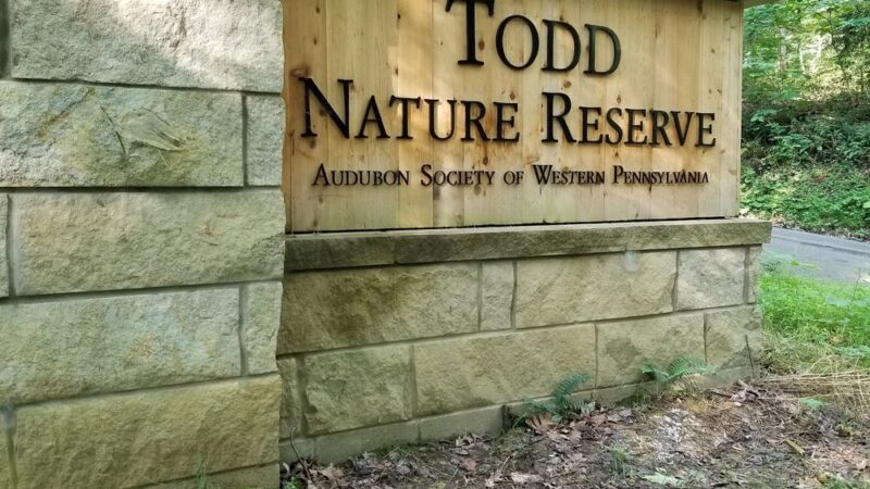 Todd Nature Reserve - Sarver, PA