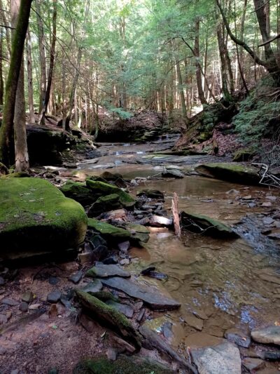 Todd Nature Reserve - Sarver, PA