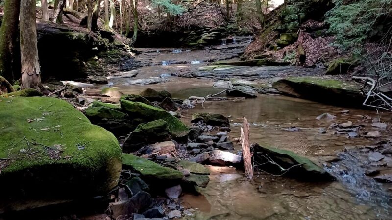 Todd Nature Reserve - Sarver, PA