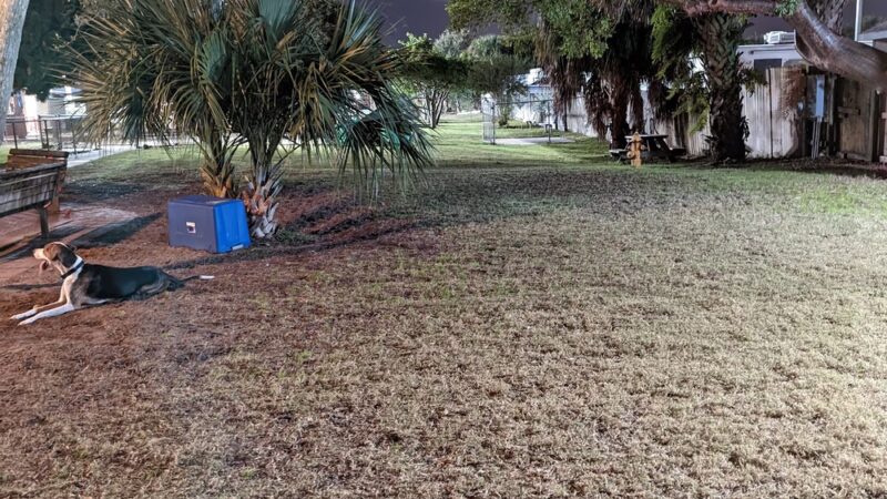 Satellite Beach Dog Park - Satellite Beach, FL