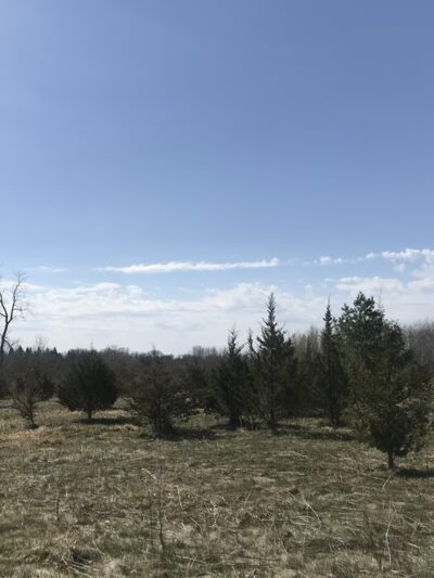Mayhew Creek Park - Sauk Rapids, MN