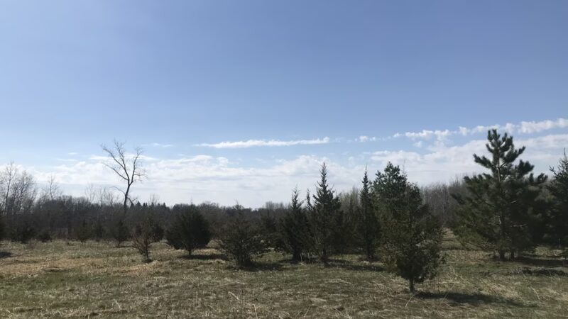 Mayhew Creek Park - Sauk Rapids, MN