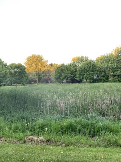 Prairie Lane Park - Sauk Rapids, MN