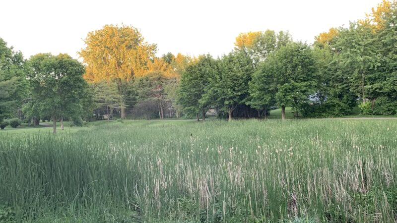 Prairie Lane Park - Sauk Rapids, MN