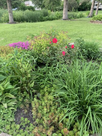 Prairie Lane Park - Sauk Rapids, MN