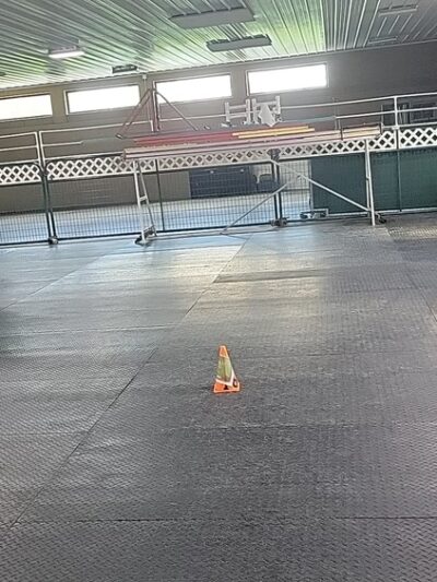 Dawgs in Motion LLC - Saukville, WI