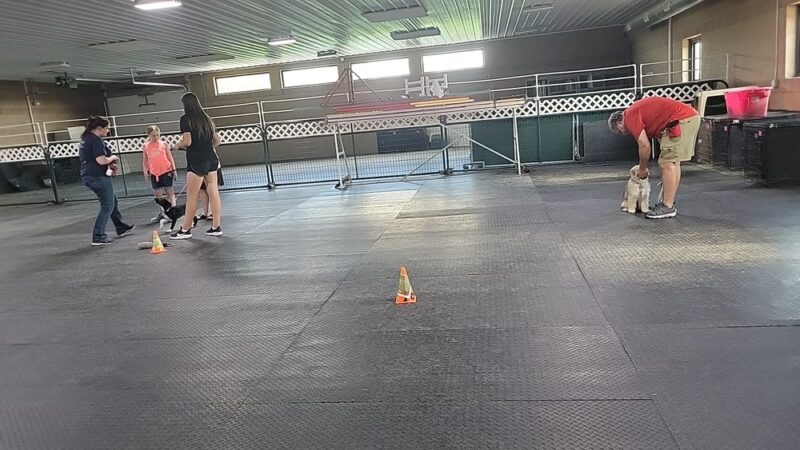 Dawgs in Motion LLC - Saukville, WI