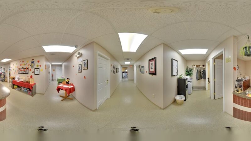 Dawgs in Motion LLC - Saukville, WI