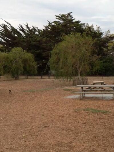 Remington Dog Park - Sausalito, CA