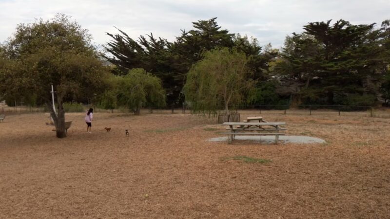 Remington Dog Park - Sausalito, CA