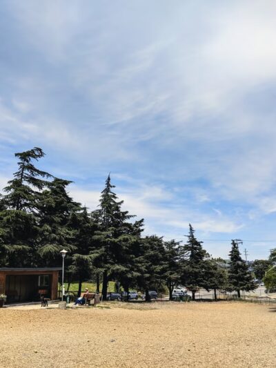 Remington Dog Park - Sausalito, CA