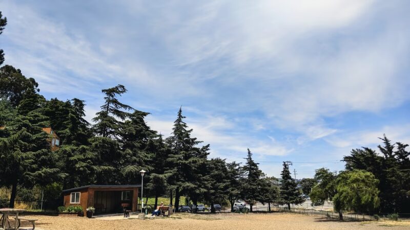 Remington Dog Park - Sausalito, CA
