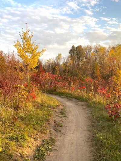 Murphy-Hanrehan Park Reserve - Savage, MN