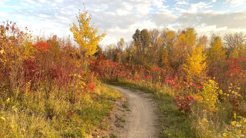 Murphy-Hanrehan Park Reserve - Savage, MN
