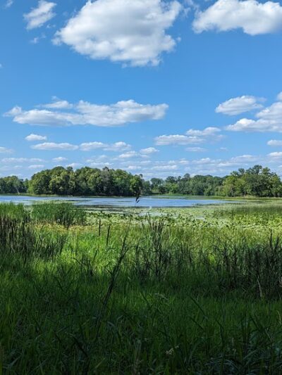 Murphy-Hanrehan Park Reserve - Savage, MN