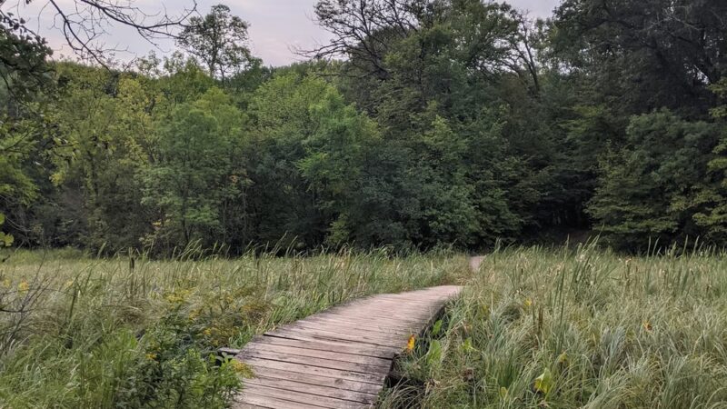 Murphy-Hanrehan Park Reserve - Savage, MN