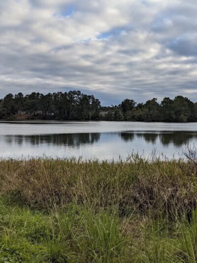 Mohawk Lake - Savannah, GA