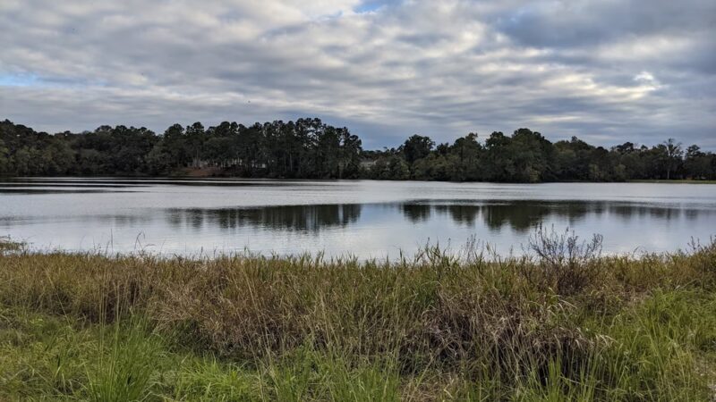 Mohawk Lake - Savannah, GA