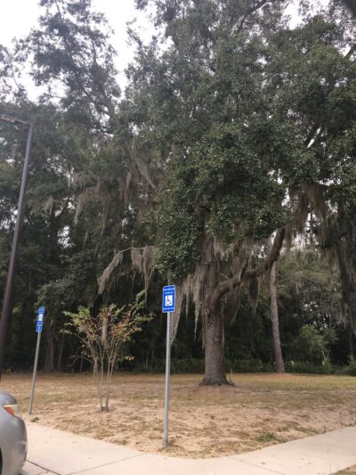 Mohawk Lake - Savannah, GA