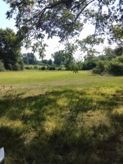 Hope's 36 Acre Unfenced Private Dog Park In Sawyerville AL - Sawyerville, AL