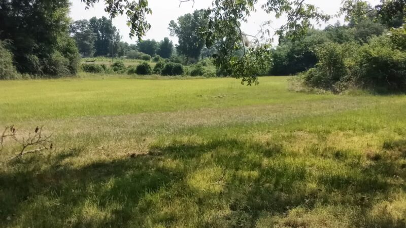 Hope's 36 Acre Unfenced Private Dog Park In Sawyerville AL - Sawyerville, AL