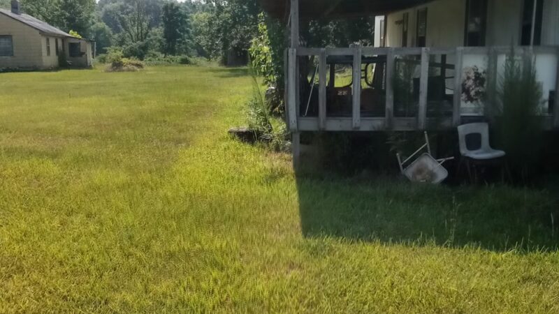 Hope's 36 Acre Unfenced Private Dog Park In Sawyerville AL - Sawyerville, AL