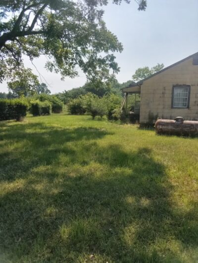 Hope's 36 Acre Unfenced Private Dog Park In Sawyerville AL - Sawyerville, AL